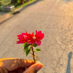 Dengarkan lagu รอยยิ้มของคุณ nyanyian BASFACE dengan lirik