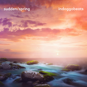 Album sudden/spring from indoggobeats