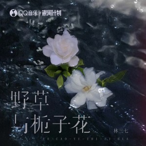 Dengarkan lagu 野草与栀子花 nyanyian 林三七 dengan lirik
