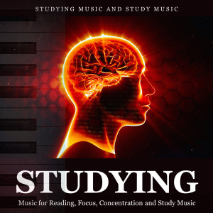 Listen to Relaxing Piano Studying Music and Study Music song with lyrics from Studying Music and Study Music