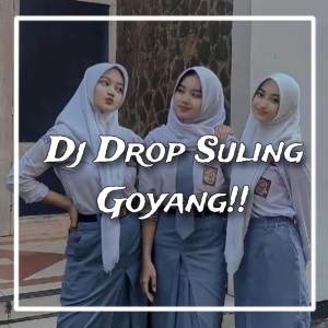 Album Dj drop Suling goyang Enakeun oleh Risad Remix