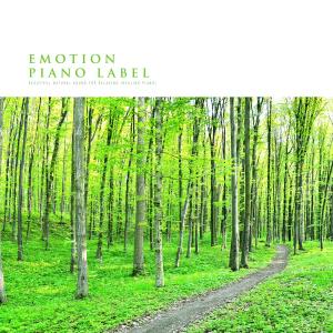 อัลบัม Beautiful Natural Sound For Relaxing (Healing Piano) (Nature Ver.) ศิลปิน Various Artists