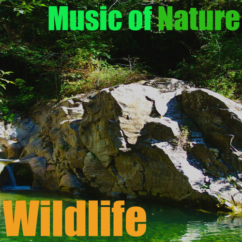 Music of Nature