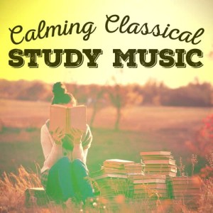 ดาวน์โหลดและฟังเพลง Piano Sonata No. 13 in B-Flat Major, K. 333: II. Andante cantabile พร้อมเนื้อเพลงจาก Martin Jacoby