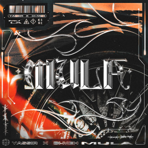 Listen to MULA song with lyrics from Yassir