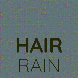 Various Artists的专辑Hair Rain