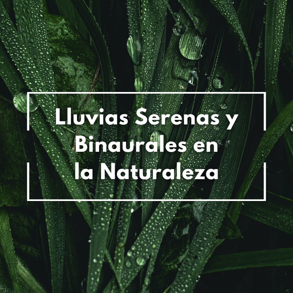 Paisaje Sonoro De Lluvia Curativa