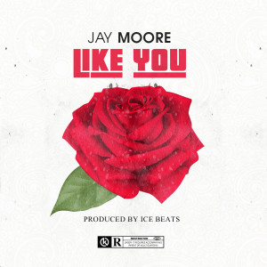 ดาวน์โหลดและฟังเพลง Like You พร้อมเนื้อเพลงจาก Jay Moore