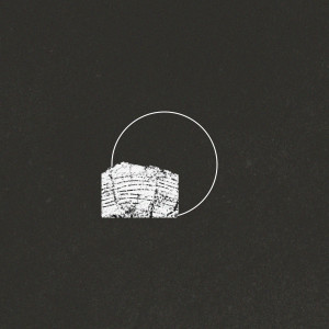 Album A Little More Love from Ron Pope