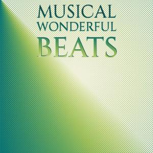 Various Artists的專輯Musical Wonderful Beats