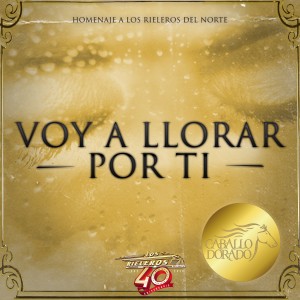 อัลบัม Voy a Llorar por Ti ศิลปิน Caballo Dorado