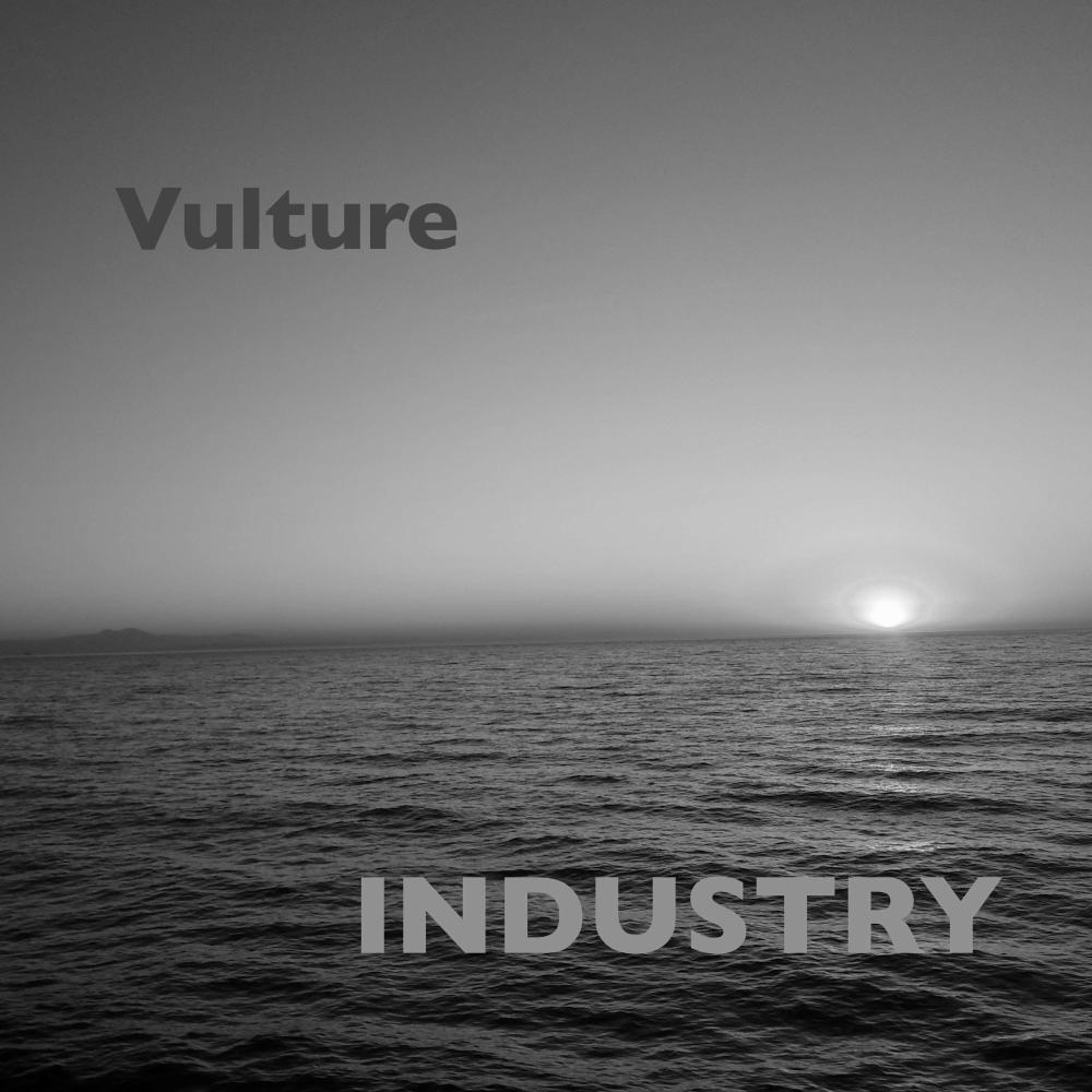 Vulture (Explicit)