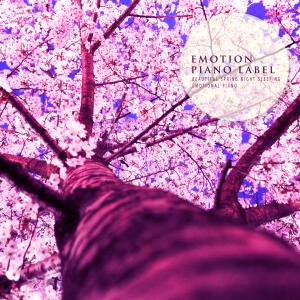 收听Aroma Love的Pastel Light Lullaby歌词歌曲