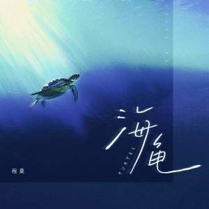 Album 海龟 from 程莫