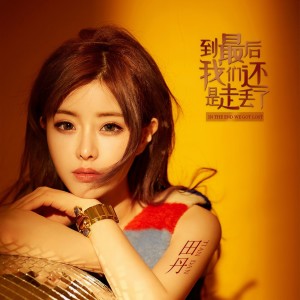 Album 到最后我们还是走丢了（DJR7版） from 田丹