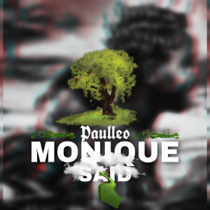 Paulleo Davis的专辑Monique Said (Radio Version)
