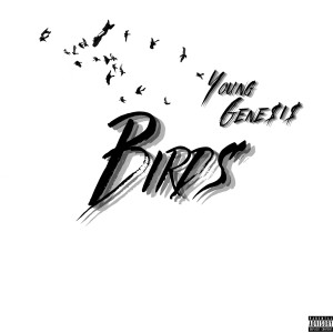 Album Birds (Explicit) from YOUNG GENE$I$