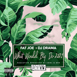 Album What Would Big Do 2021 (Explicit) from Fat Joe