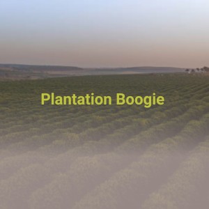 Listen to Juke Box Boogie song with lyrics from Big Jeff