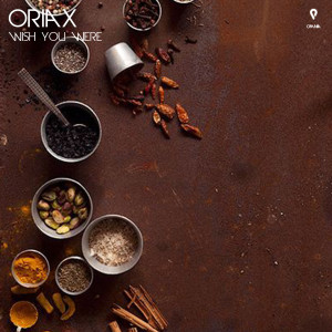 Listen to Wish You Were (Radio Edit) song with lyrics from Oriax