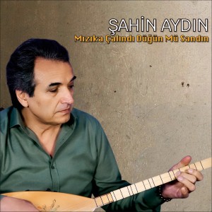Listen to Mızıka Çalındı Düğün Mü Sandın song with lyrics from Şahin Aydın