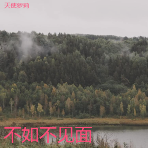 Album 不如不见面 from 天使萝莉