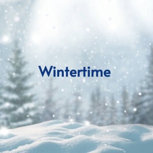 Listen to Wintertime song with lyrics from The Ran Dells