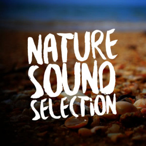 อัลบัม Nature Sound Selection ศิลปิน Outside Broadcast Recordings