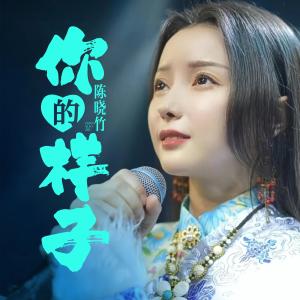 收聽陳曉竹的你的樣子歌詞歌曲