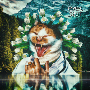 ดาวน์โหลดและฟังเพลง Eyes Shut พร้อมเนื้อเพลงจาก Waltzburg