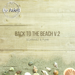 อัลบัม Back to the Beach, Vol. 2 ศิลปิน Schwarz & Funk