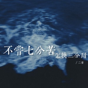 Album 不尝七分苦怎换三分甜 from 二哥