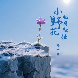 Album 小野花也有坚强 from 辛敏琦