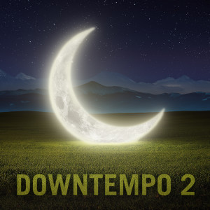 Various Artists的專輯Downtempo 2
