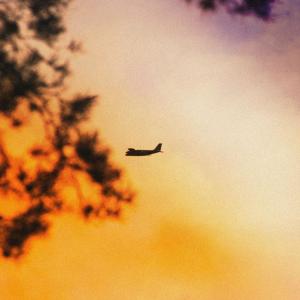 收聽Roscoe的If You Want Me To歌詞歌曲