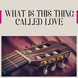 Album What Is This Thing Called Love from Ray Anthony & His Orchestra