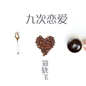 鄭曉飛的專輯九次戀愛