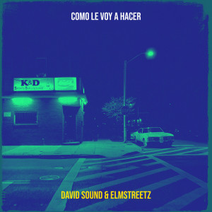 Album Como le voy a Hacer from David Sound