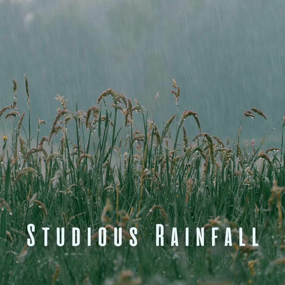 Studious Storm Serenade