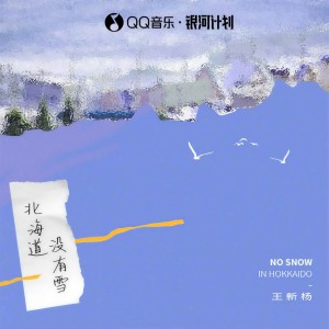 Album 北海道没有雪 from 王新杨