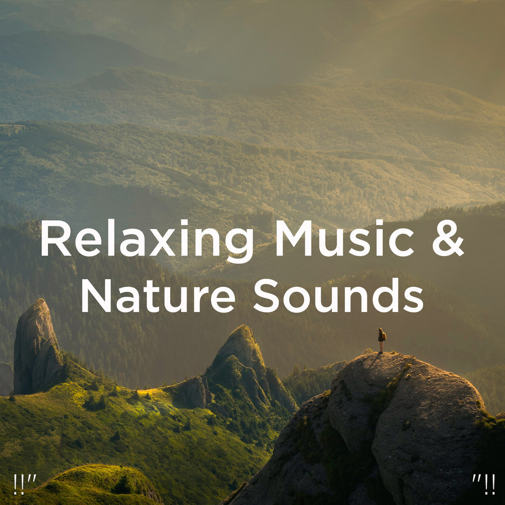 Meditation Ocean Music