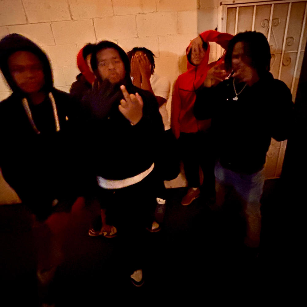 #FREEFATZ (feat. Lul Rell & LuhhFatz) (Explicit)