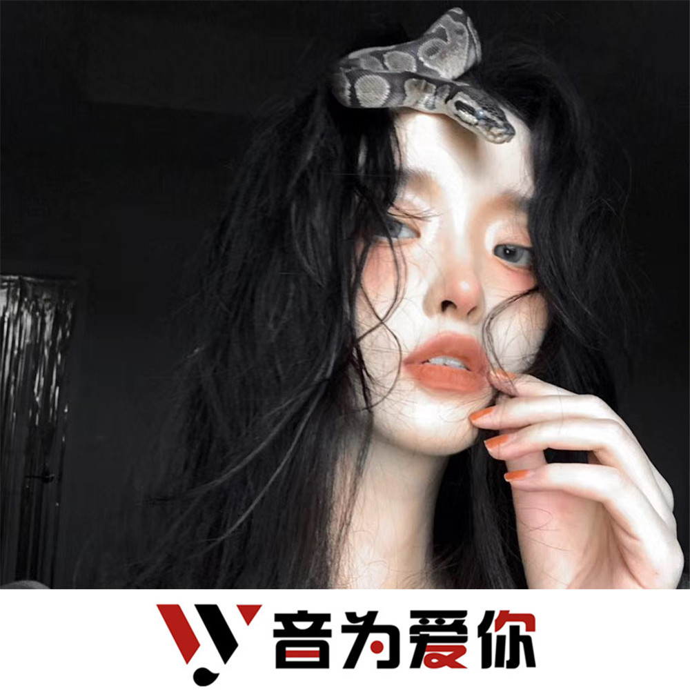 意大利女声慢摇 (DJ版)