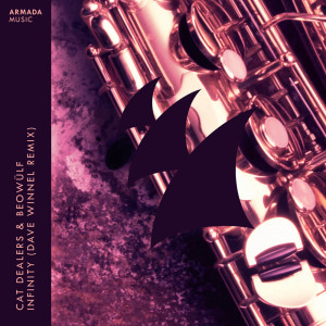 收听Cat Dealers的Infinity (Dave Winnel Remix)歌词歌曲