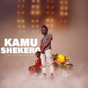 Album KAMUSHEKERO from Mcdee Madhara