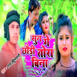 Album Sun ge chhaudi tora bina oleh Raja Hindustani