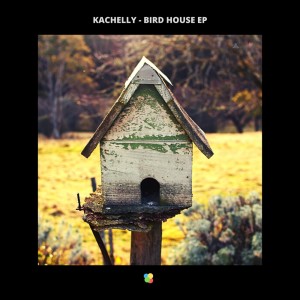 Listen to Peace (Original Mix) song with lyrics from Kachelly