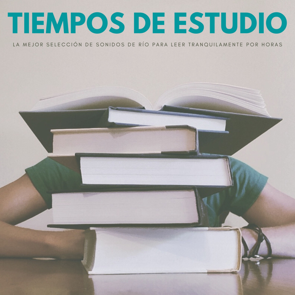 Criaturas Del Bosque
