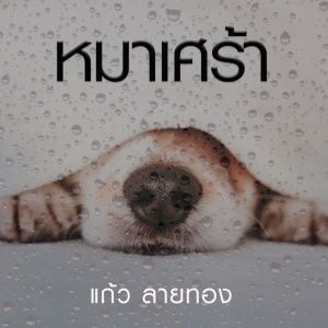 收听แก้ว ลายทอง的หมาเศร้า歌词歌曲