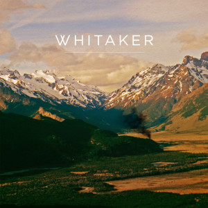 Album Whitaker from Whitaker